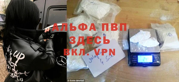 индика Абаза