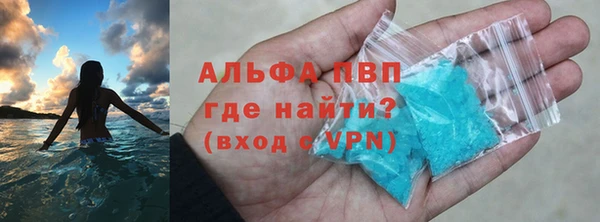 индика Абаза