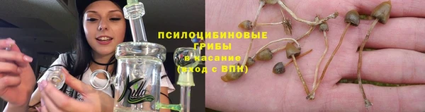 ГАЛЛЮЦИНОГЕННЫЕ ГРИБЫ Абинск