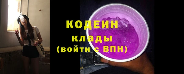 индика Абаза