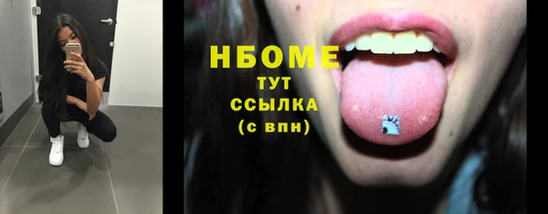 индика Абаза
