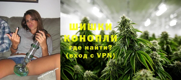 индика Абаза