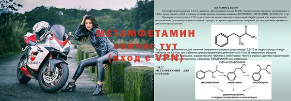 прущие грибы Семикаракорск