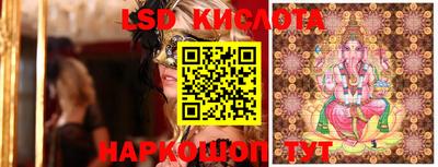 дживик Бийск
