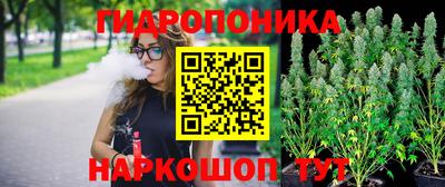 apvp Беслан