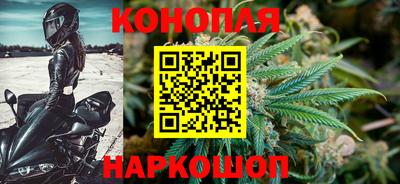 apvp Беслан