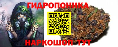 дживик Бийск