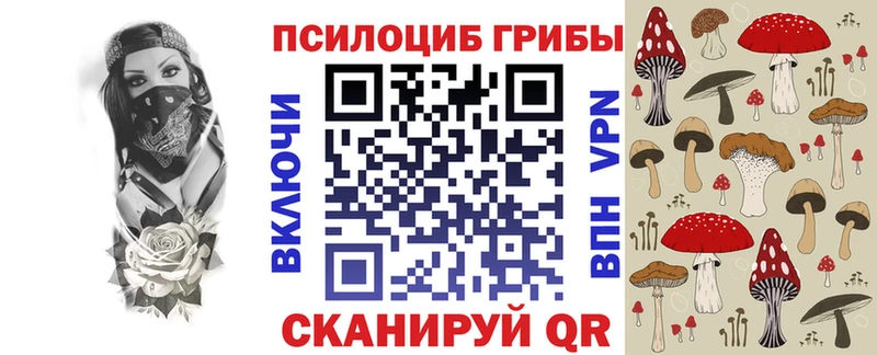 Псилоцибиновые грибы Psilocybe Знаменск