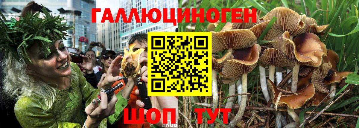 Галлюциногенные грибы мицелий  Псилоцибиновые грибы ЛСД  купить   Вход с VPN  Знаменск 