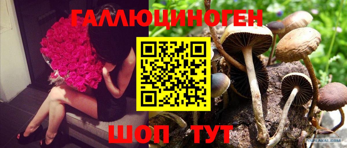Галлюциногенные грибы мицелий Знаменск