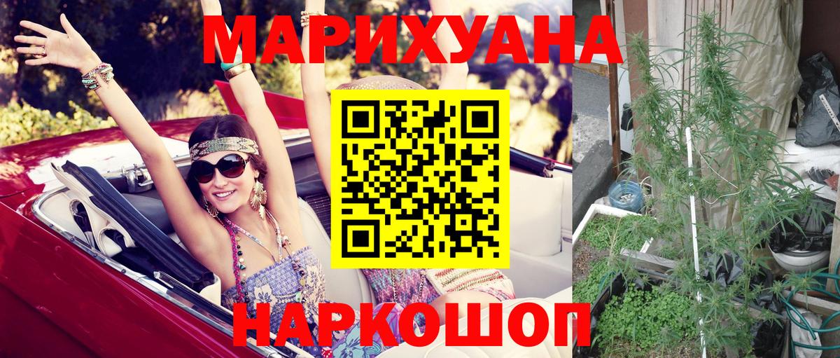 Бошки Шишки гибрид Знаменск